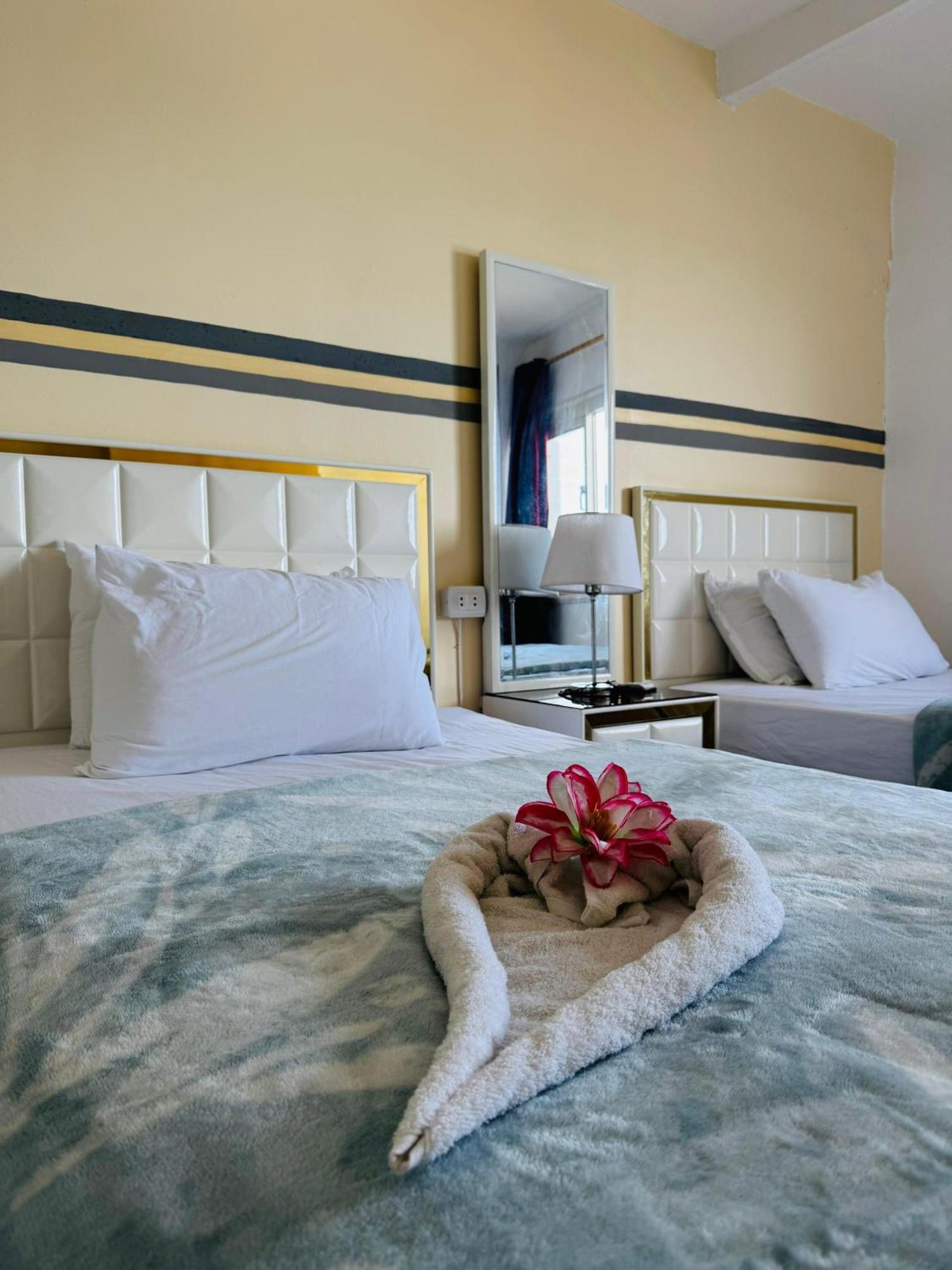 Alexandria Luxury Apartments Sporting Direct Sea View Exterior photo